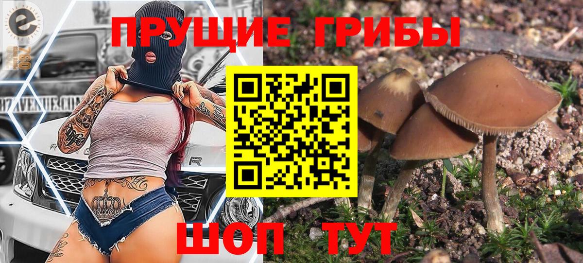 Галлюциногенные грибы Psilocybe Кунгур