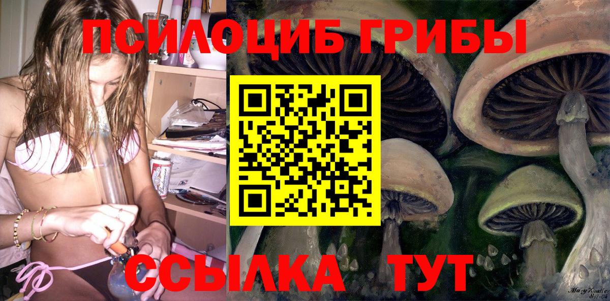 наркота  Вход с VPN  Галлюциногенные грибы мицелий  Кунгур  Галлюциногенные грибы прущие грибы 